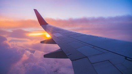 Flugzeugflügel