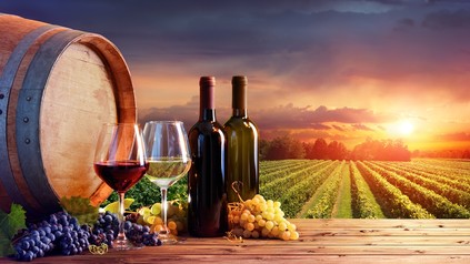 Ein Weinberg
