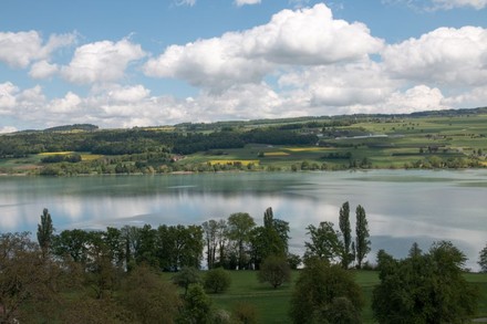 Ufer des Hallwilersees