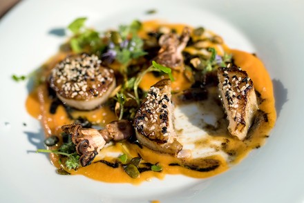 Ein elegantes finnisches Gericht auf einem Teller