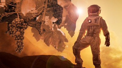 Ein Astronaut und ein Weinstock auf dem Mars