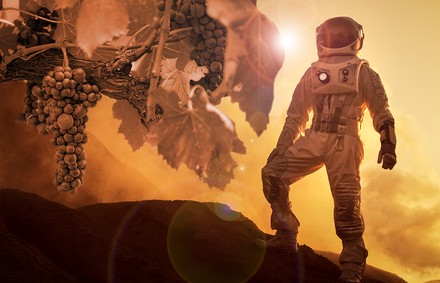 Ein Astronaut und ein Weinstock auf dem Mars
