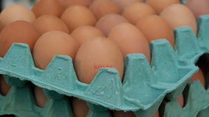 Eier in Schale