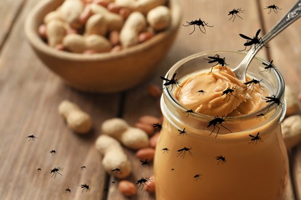 Erdnussbutter und Insekten