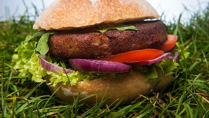 Ein Burger in einer Wiese