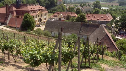 Weingut