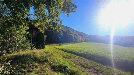 Paten gestalten „Hotel für die Natur“ in der Schwäbischen Alb mit. (Foto: ©KONCEPT HOTELS)
Eine Wiese bei Sonnenschein.