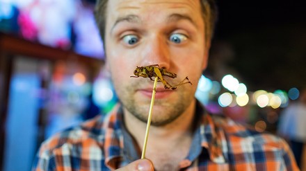 Bei Insekten gilt grundsätzlich Deklarationspflicht. Somit sollte ausgeschlossen sein, dass wir unwissentlich Insekten mitessen. (Foto: © koldunova_anna/stock.adobe.com)
Mann mit einem Insekt zum Verspeisen