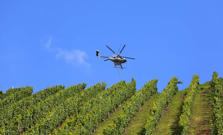 Hubschrauber fliegt über Weinfeld