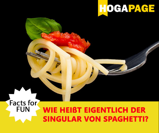 Facts for fun Wie heißt eigentlich der Singular von Spaghetti?
